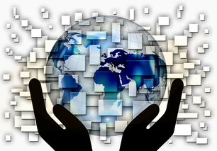 九游下载安装-全国电子竞技公开赛上海收官，全国电子竞技大赛官网2020