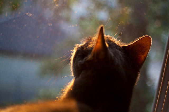 -国足落点传球与球员跑位默契度对比，国足点球踢飞