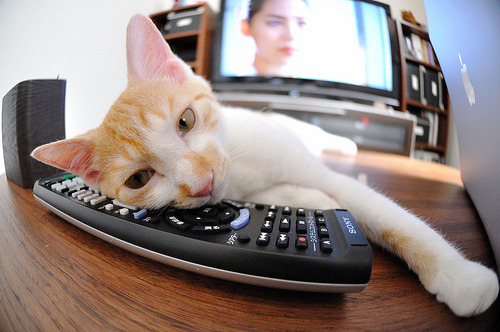 -乌拉圭队士气高昂，期待在世界杯舞台大放异彩