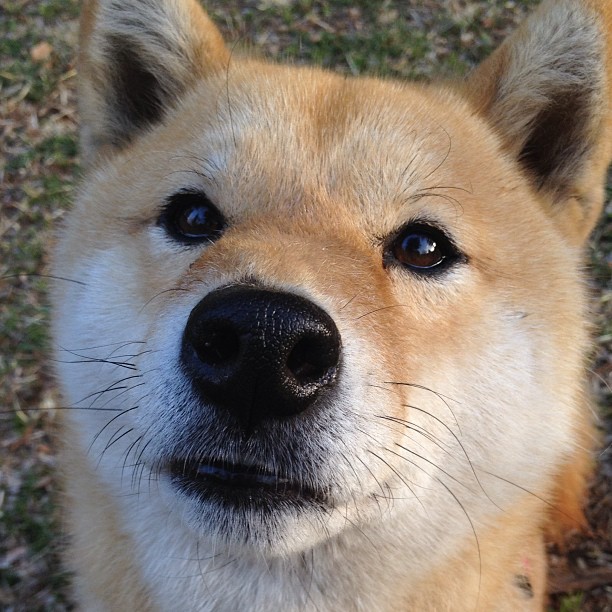 九游娱乐(jiuyou)官方网站-全新国际比赛转播技术推出，提升全球观众观赛体验，赛事转播技术