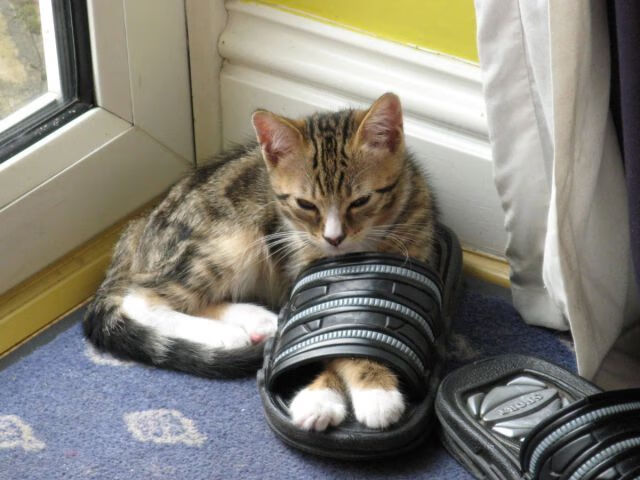 德甲战术多变：变化多端，引领足球新潮！，德甲技术特点