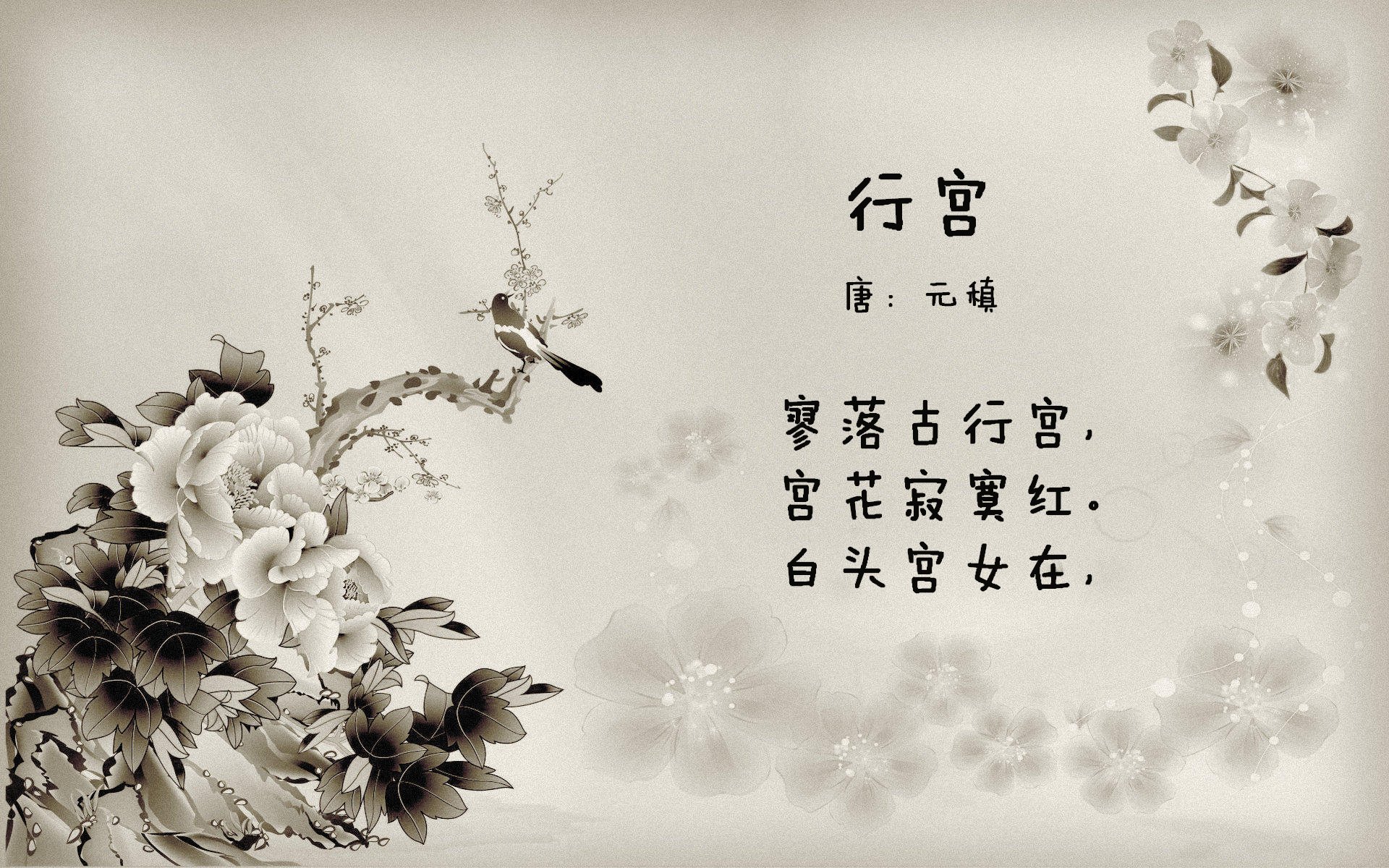 瑞士蛙泳选手冲刺强劲，瑞士游泳池